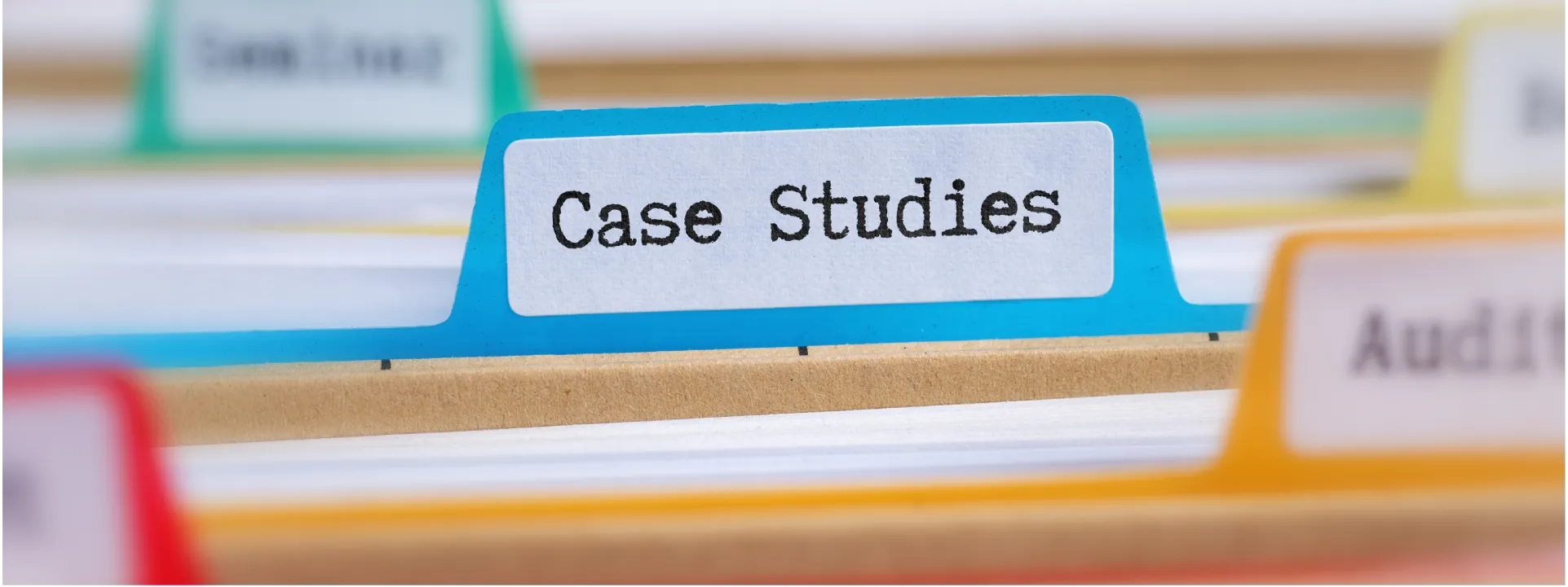 Zeour case studies — named production references across banking, government, healthcare, retail, and more